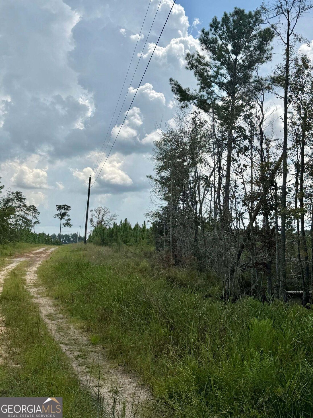 Hazlehurst, Georgia, United States 5 - 18669305