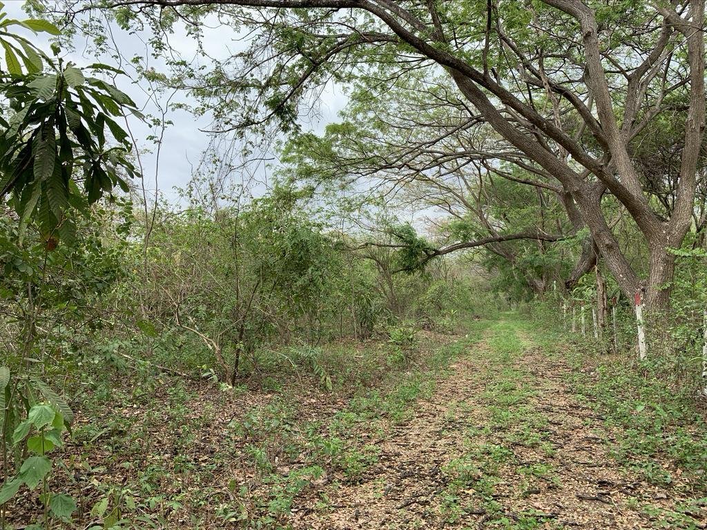 Land in Guayaquil, Guayas, Ecuador 5 - 18659940