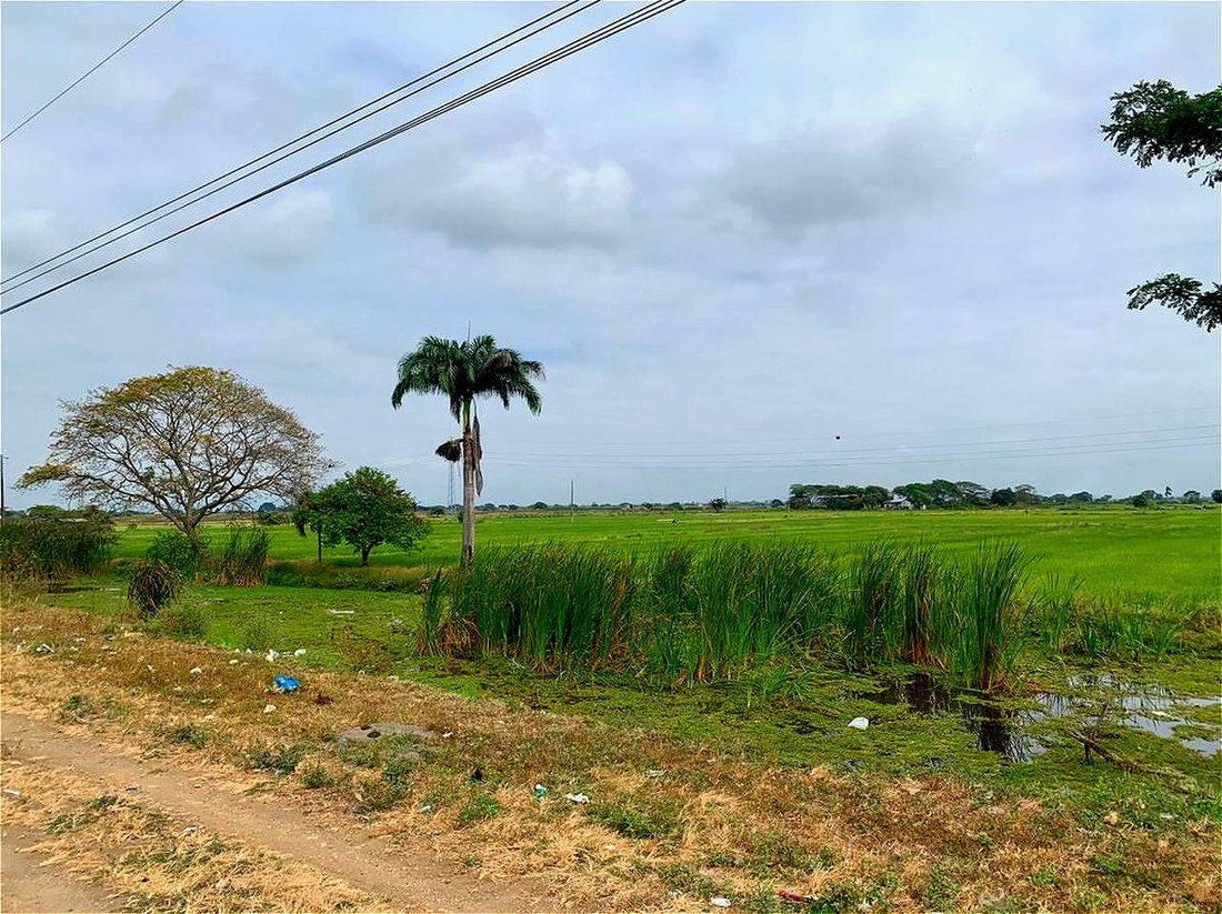 Land in Duran, Guayas, Ecuador 3 - 18660008