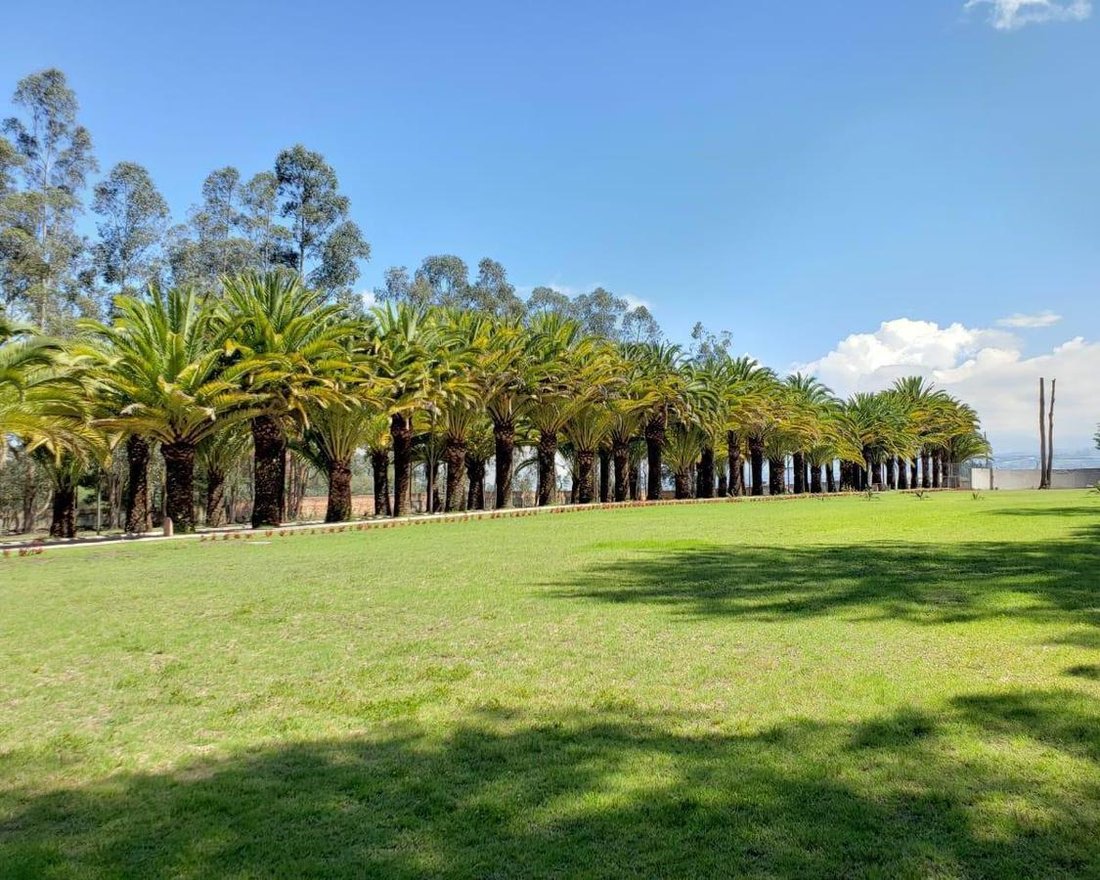 Land in Quito, Pichincha, Ecuador 2 - 18661647