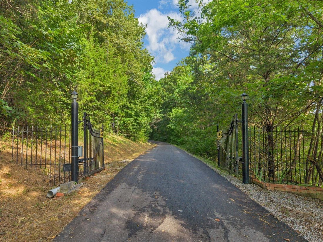 Pulaski, Tennessee, United States 2 - 18665863