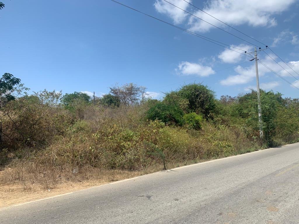 Land in Guayaquil, Guayas, Ecuador 4 - 18660353