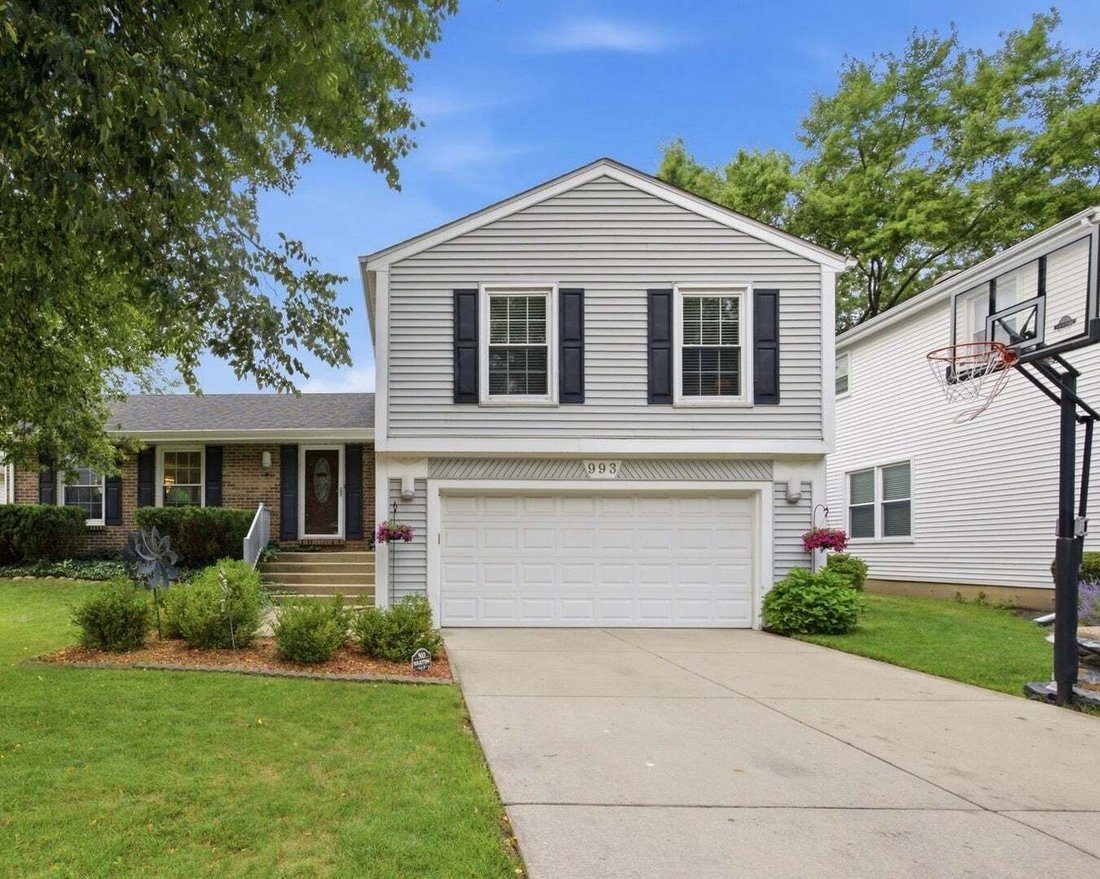 House in Buffalo Grove, Illinois, United States 1 - 18671580
