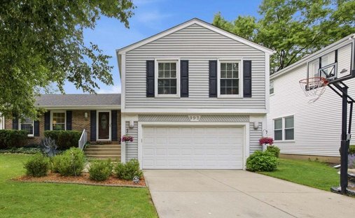 Maison à Buffalo Grove, Illinois, États-Unis 1