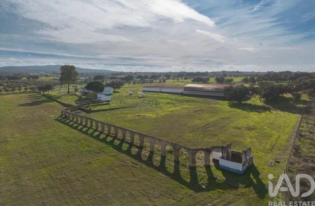 Farm Ranch in Viana do Alentejo, Évora District, Portugal 3 - 18671038