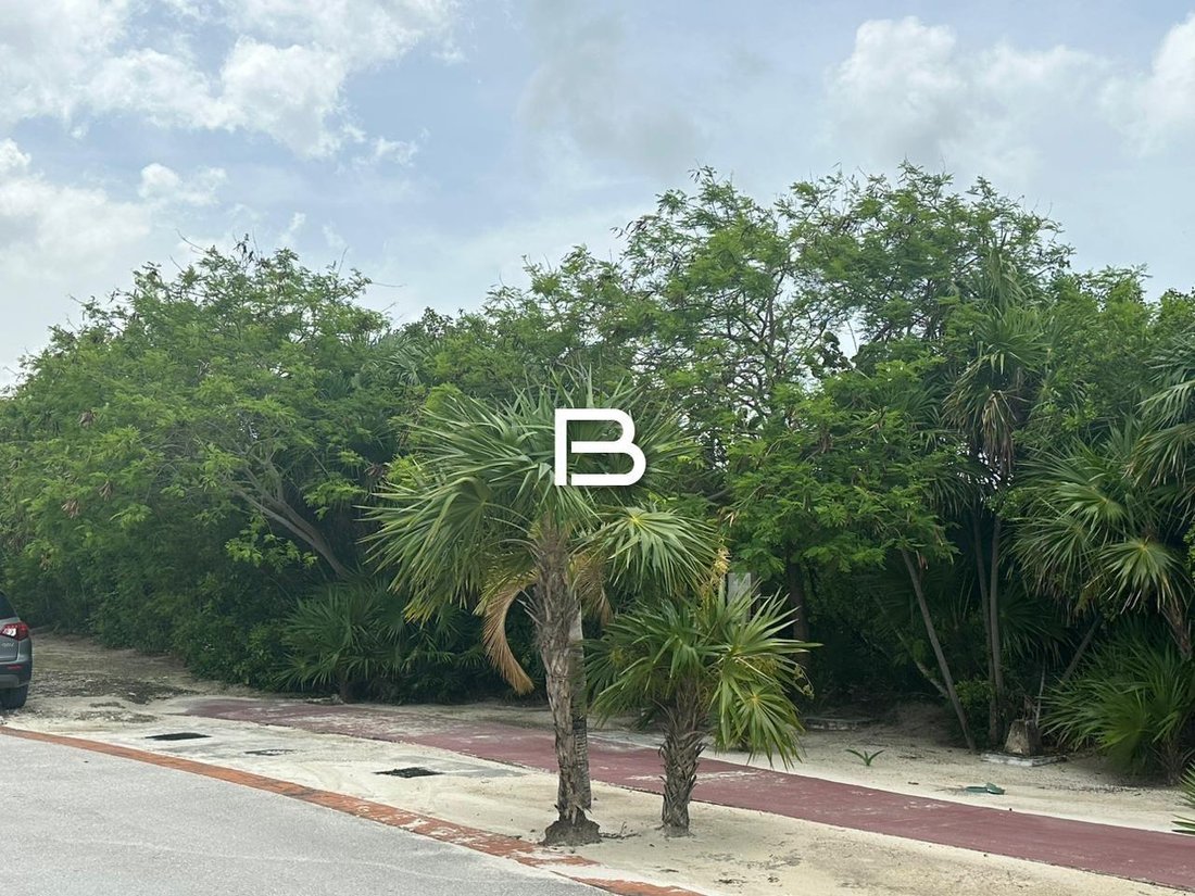 Land in Punta Sam, Quintana Roo, Mexico 4 - 18661559