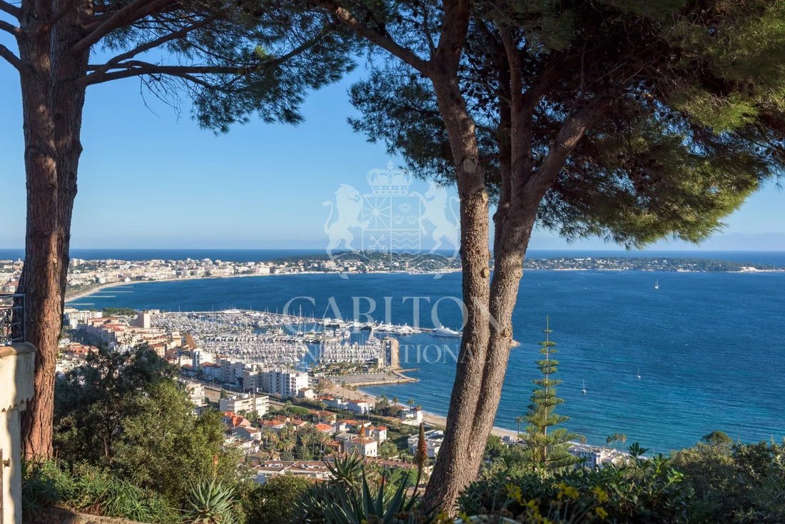 Villa in Cannes, Provence-Alpes-Côte d'Azur, France 1 - 18662059