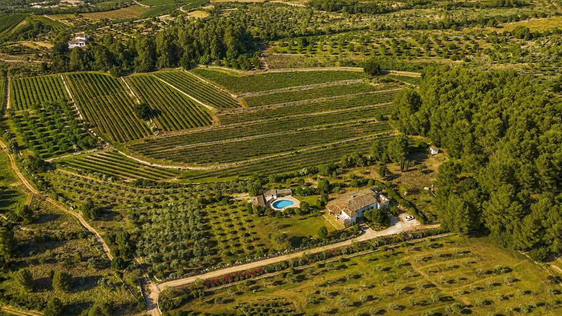 Villa in Xalo, Land Valencia, Spanien 1 - 18601168