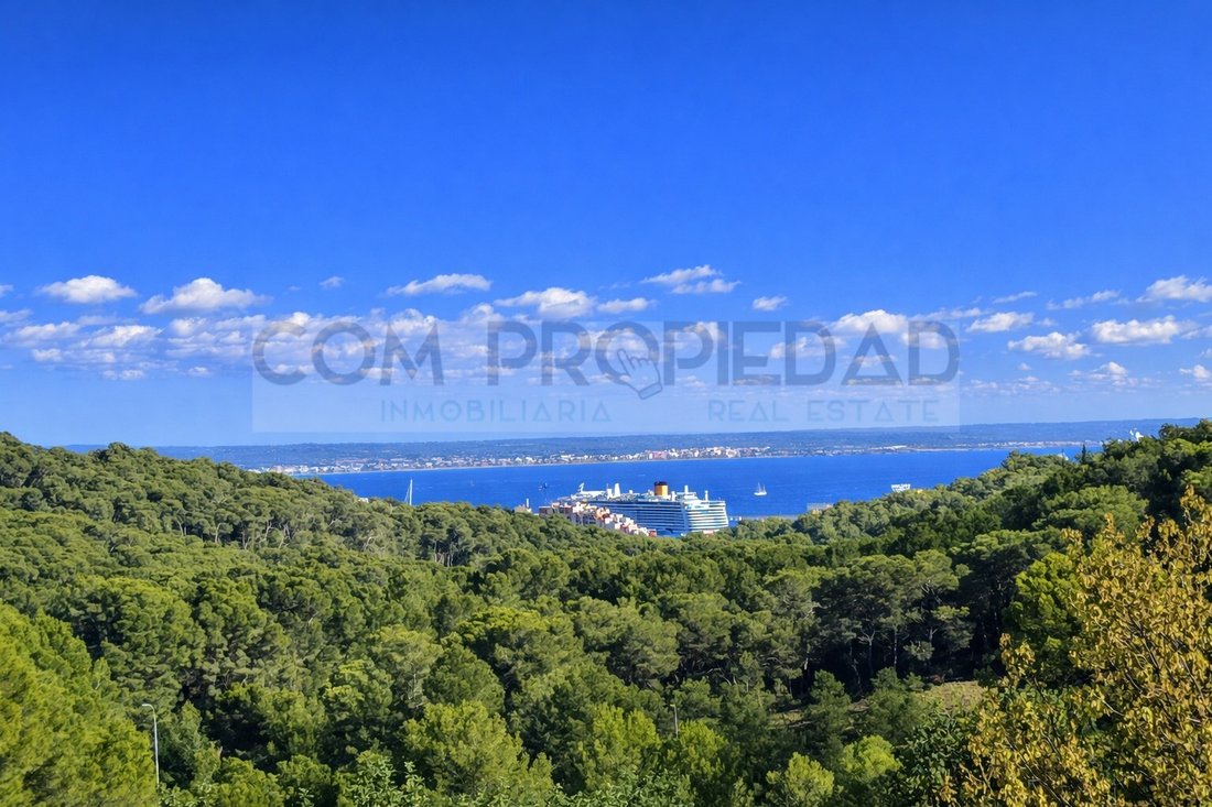 Land in Genoa, Palma, Balearic Islands 1 - 18660974