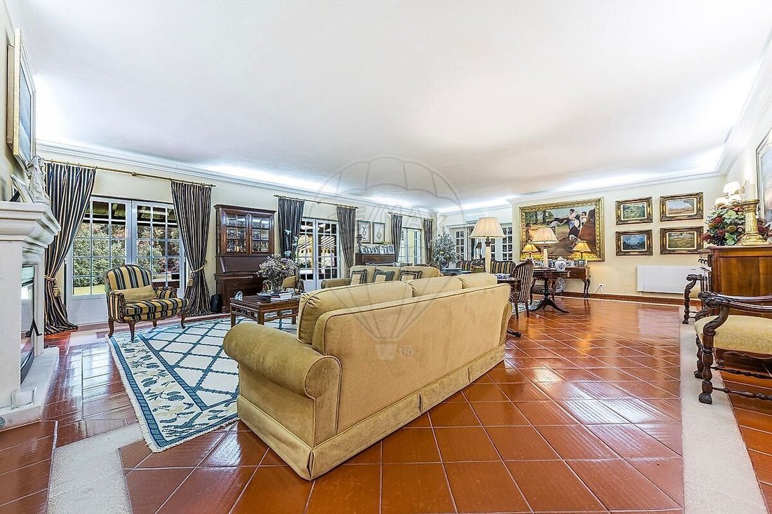 Farm Ranch in Santo Estevao, Santarem District, Portugal 2 - 18666722