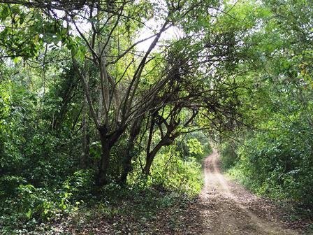 Land in El Rosario, Manabí, Ecuador 5 - 18659977