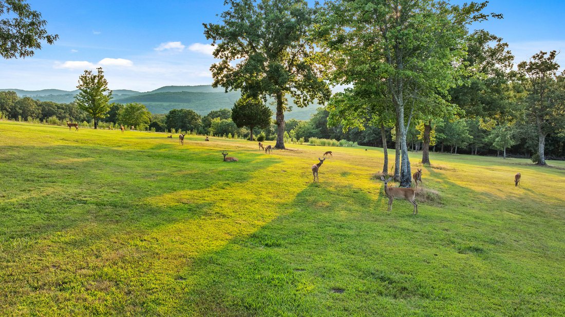 House in Witter, Arkansas, United States 4 - 18661311