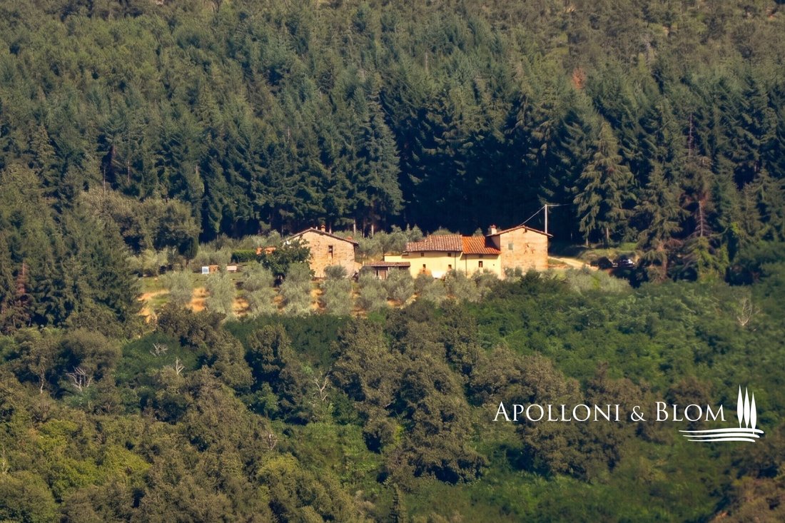 House in Pelago, Tuscany, Italy 4 - 16482112