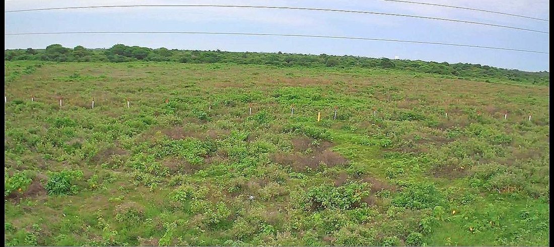 Land in El Morro, Guayas, Ecuador 2 - 18660131