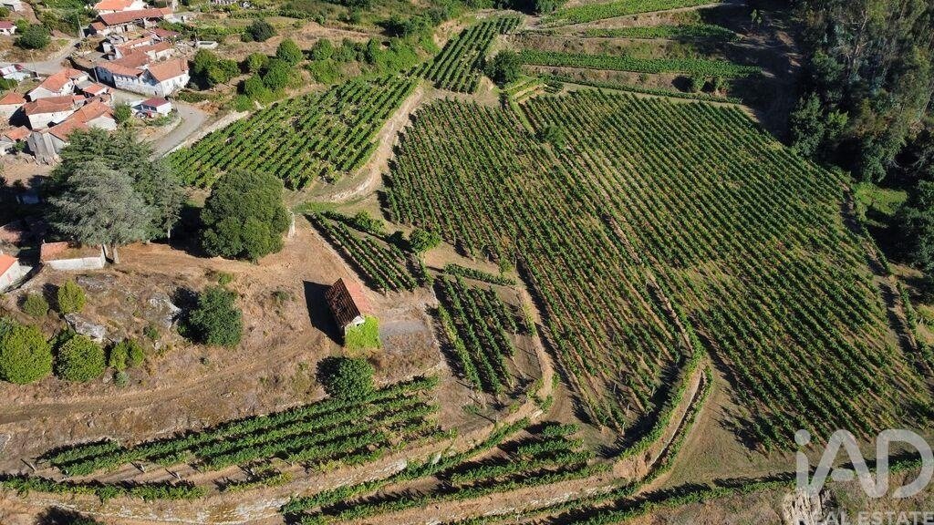 Farm Ranch in Figueiro (Santiago e Santa Cristina), Porto District, Portugal 2 - 18666845
