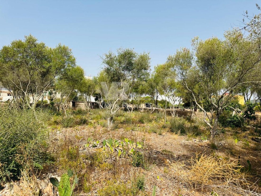 Land in Santanyi, Balearic Islands, Spain 3 - 18667785