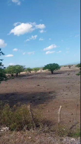 Land in Los Jiménez, Managua, Nicaragua 1 - 18663142