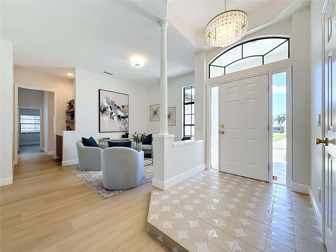 House in Palm Harbor, Florida, United States 3 - 18663029