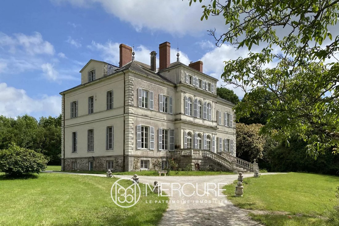 Castle in Montaigu, Montaigu-Vendee, France 2 - 18509988