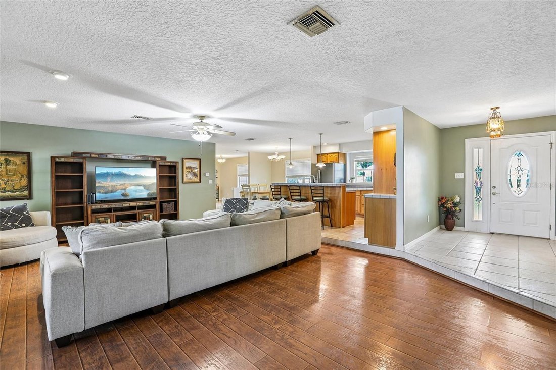 House in Palm Harbor, Florida, United States 5 - 18669268