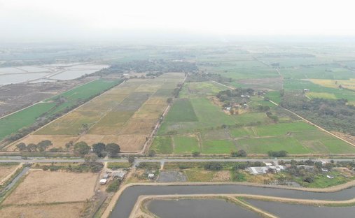 Farm Ranch in Taura, Guayas, Ecuador 1