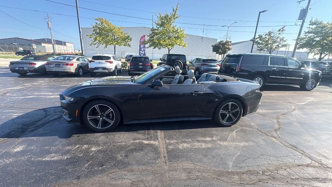 Cabriolet in Milwaukee, WI, United States 5 - 18664869