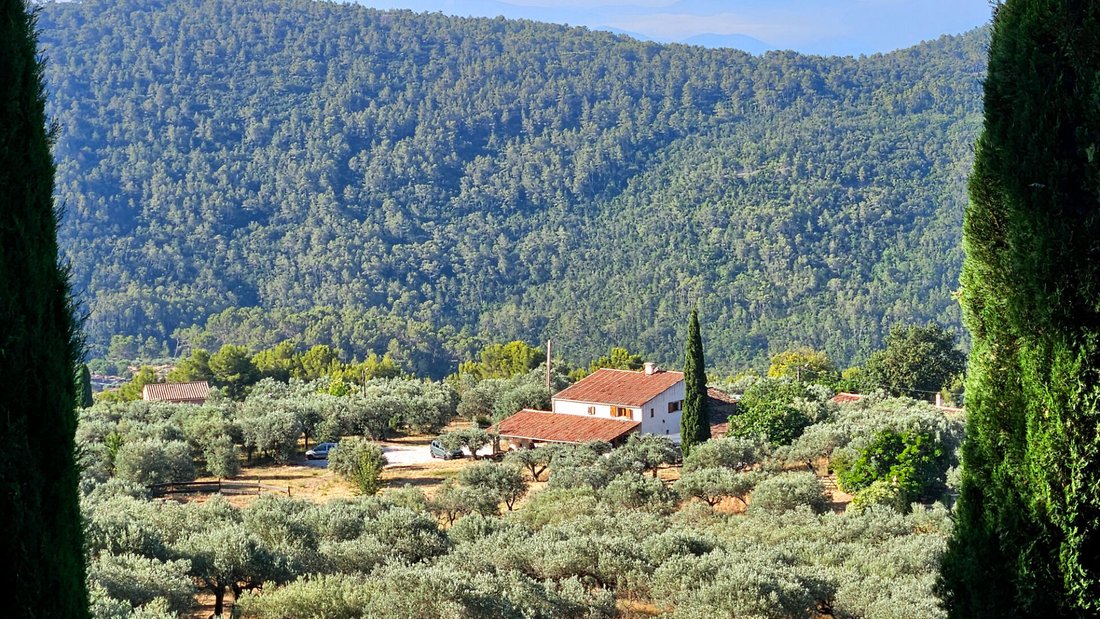 Villa in Claviers, Provence-Alpes-Côte d'Azur, France 2 - 18661102