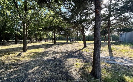Farm Ranch in Wolfe City, Texas, United States 1