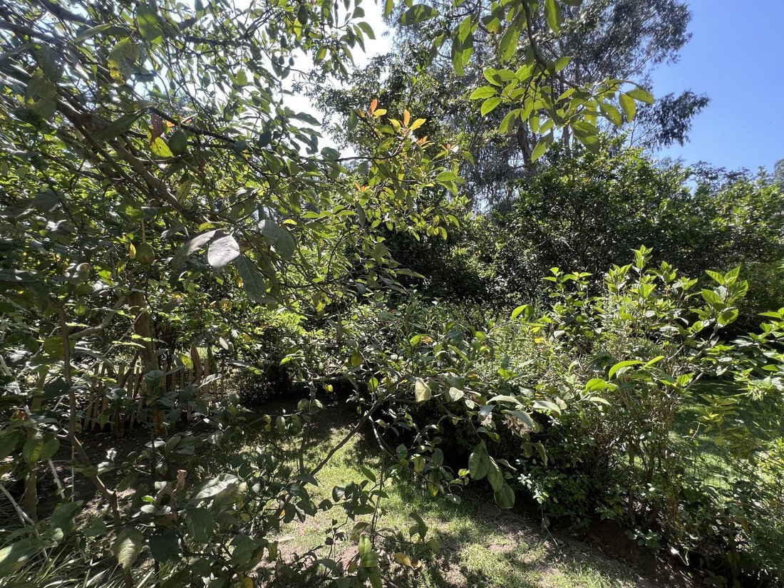 Land in Quito, Pichincha, Ecuador 4 - 18661702