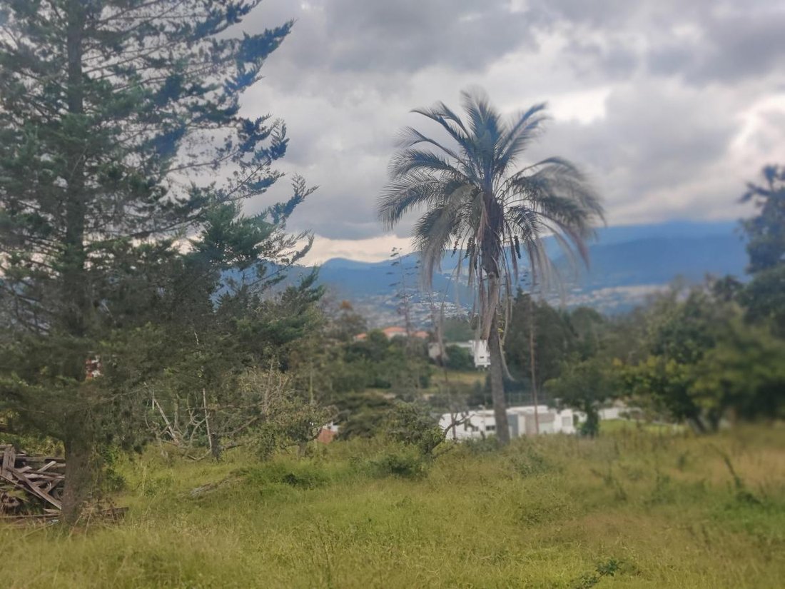 Land in Quito, Pichincha, Ecuador 1 - 18661431