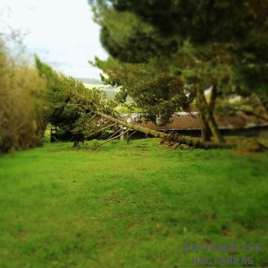 Farm Ranch in Machachi, Pichincha, Ecuador 1 - 18661464