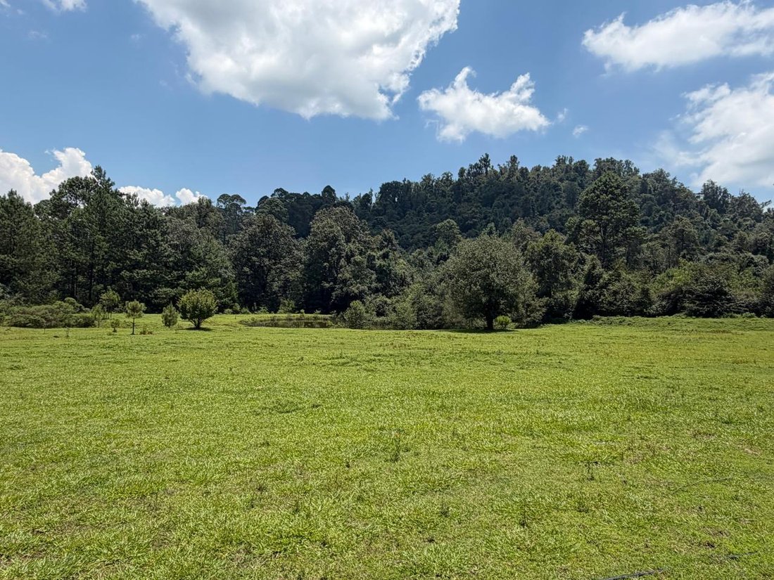 Land in Valle de Bravo, State of Mexico, Mexico 3 - 18672379
