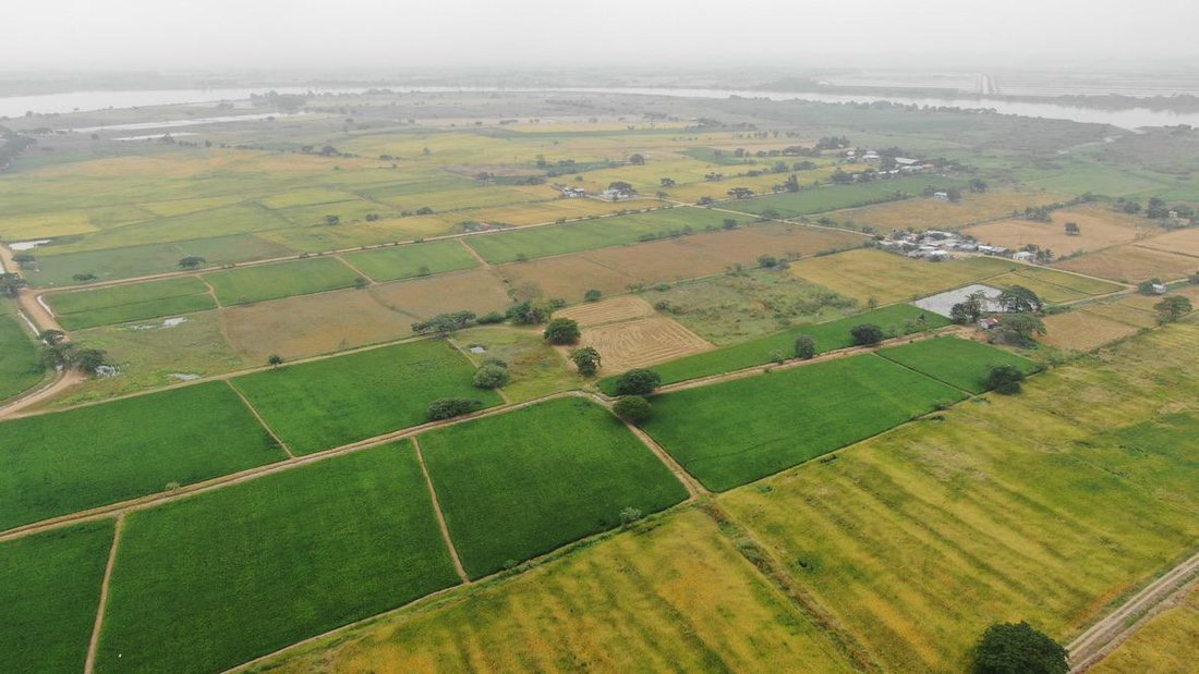 Land in Samborondón, Guayas, Ecuador 1 - 18660430