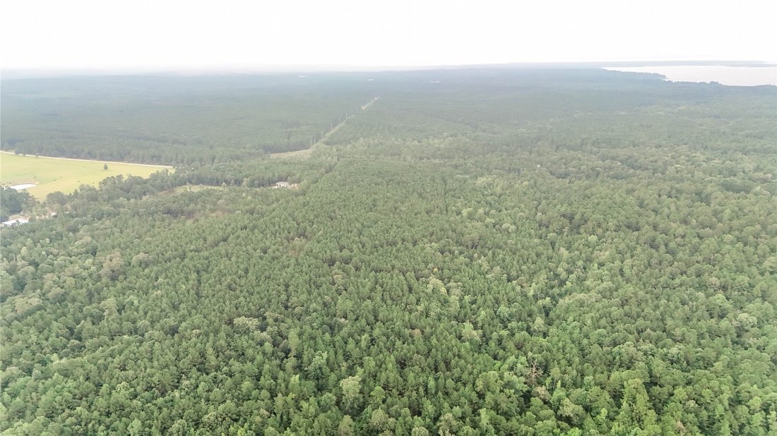 Land in Livingston, Texas, United States 3 - 18659734