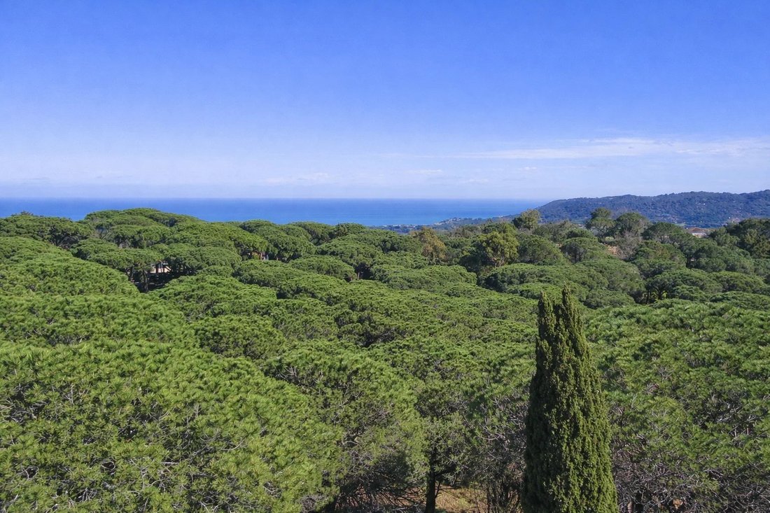 Haus in Ramatuelle, Provence-Alpes-Côte d'Azur, Frankreich 3 - 14001485