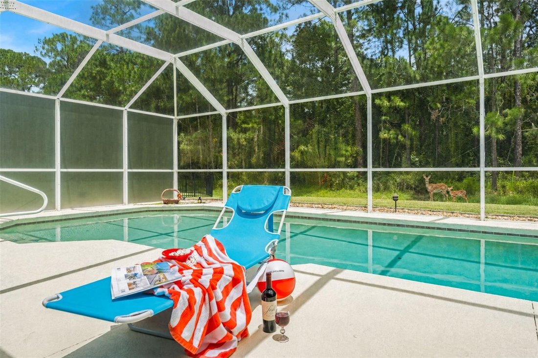 House in Port Orange, Florida, United States 3 - 18664371