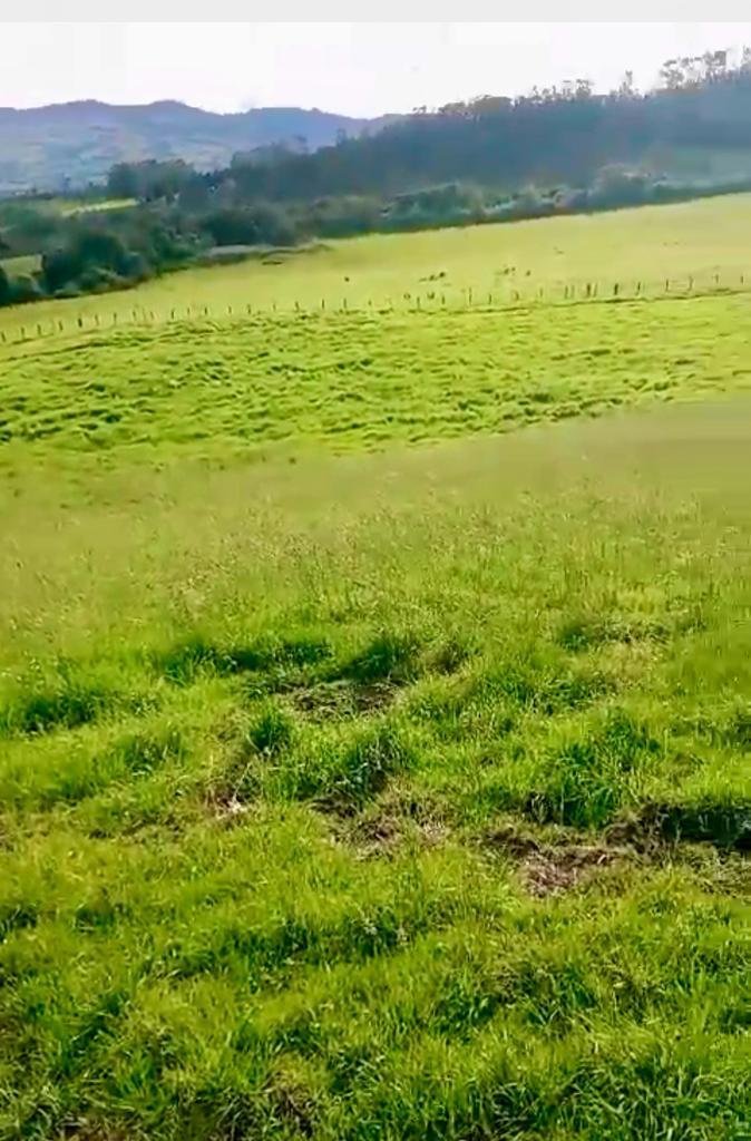 Land in Cotogchoa, Pichincha, Ecuador 2 - 18661446