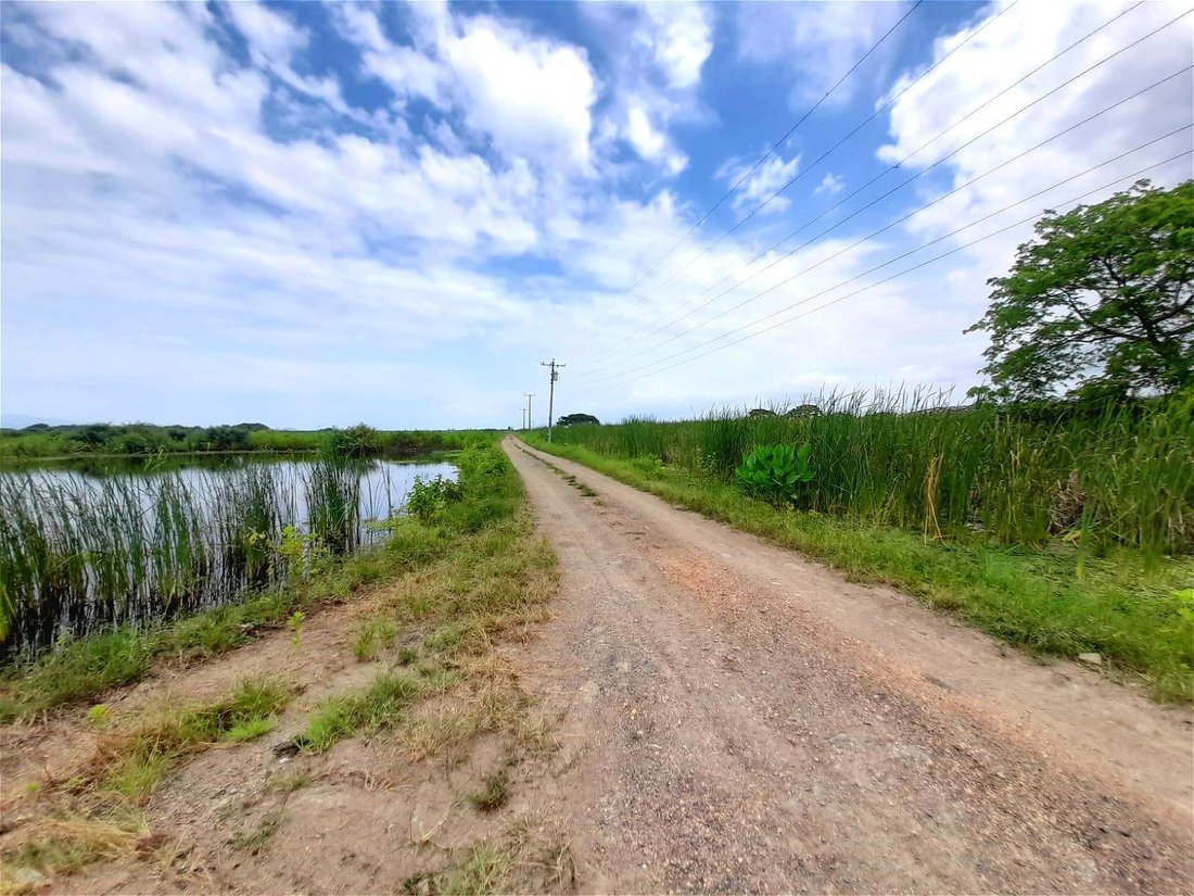 Land in Duran, Guayas, Ecuador 5 - 18660081