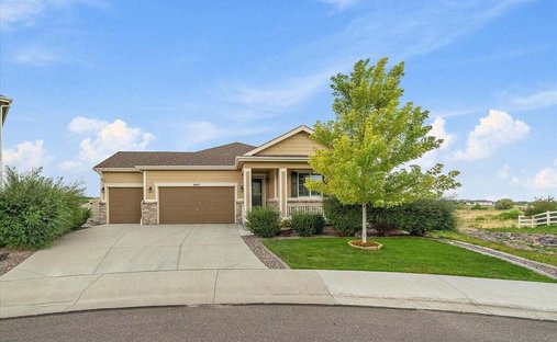 House in Parker, Colorado, United States 1