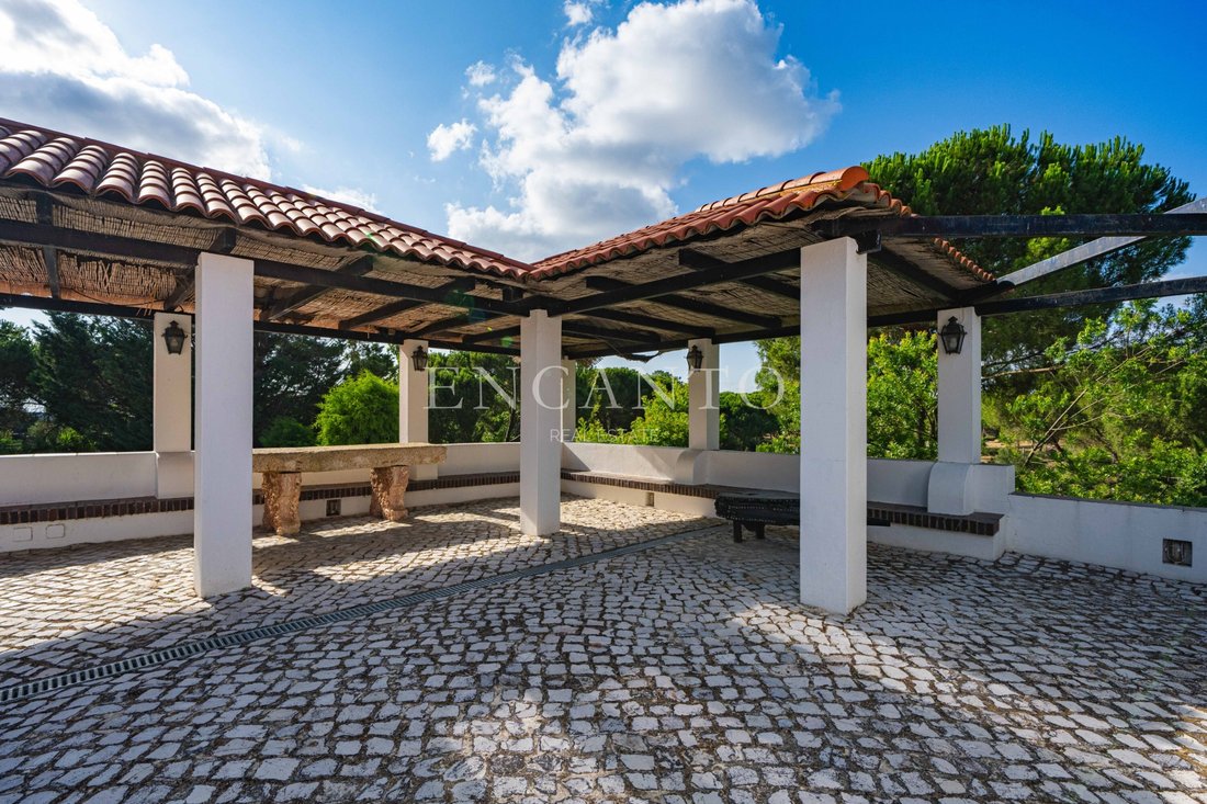 Finca in Santo Estevao, Santarem District, Portugal 3 - 18660917