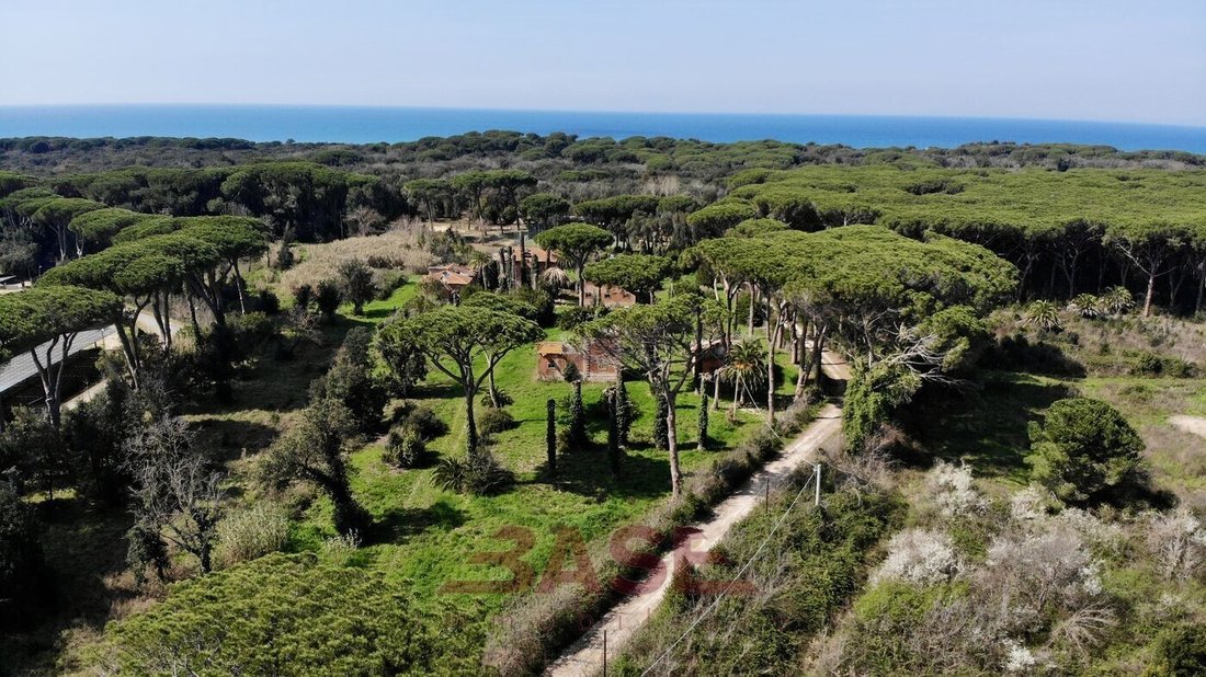 Estate in Castagneto Carducci, Tuscany, Italy 5 - 18668072