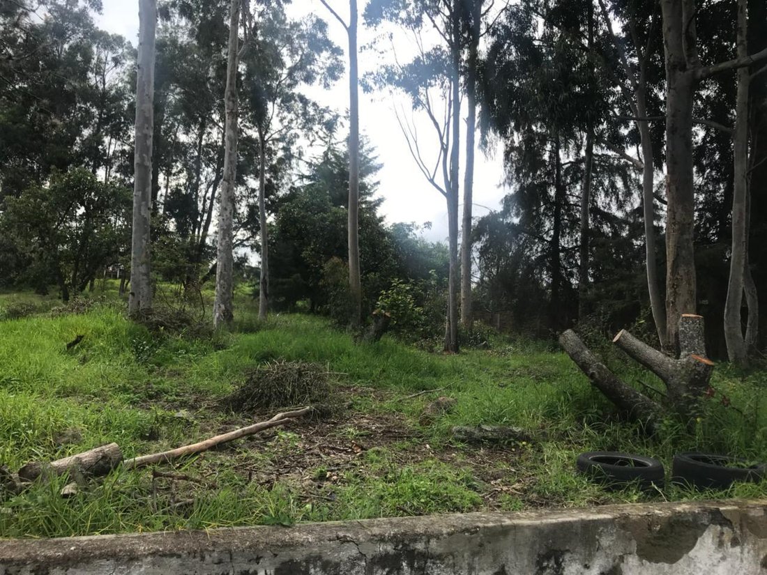 Land in Quito, Pichincha, Ecuador 3 - 18661532