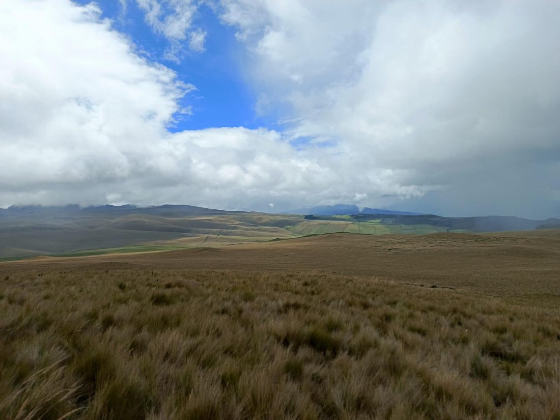 Farm Ranch in Quito, Pichincha, Ecuador 5 - 18661426