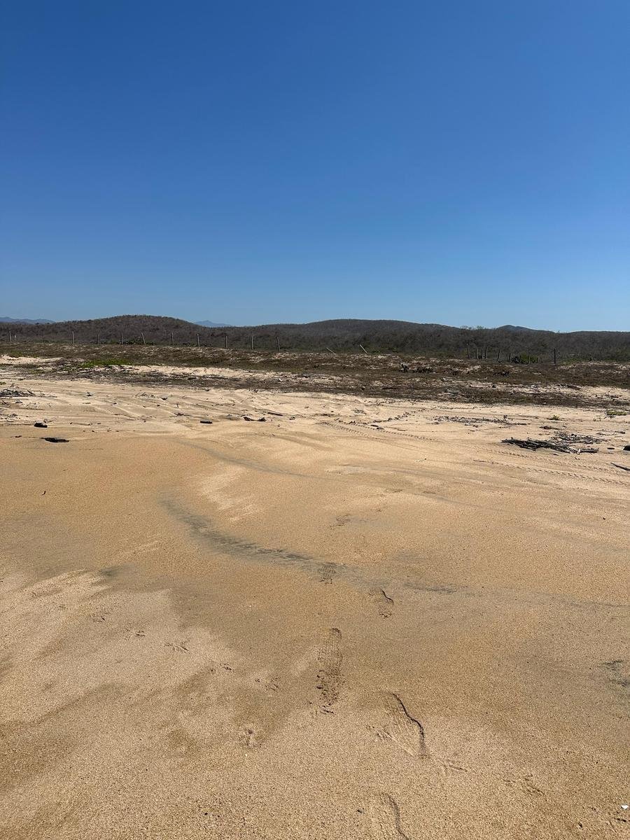 Land in El Realito, Jalisco, Mexico 5 - 18672686