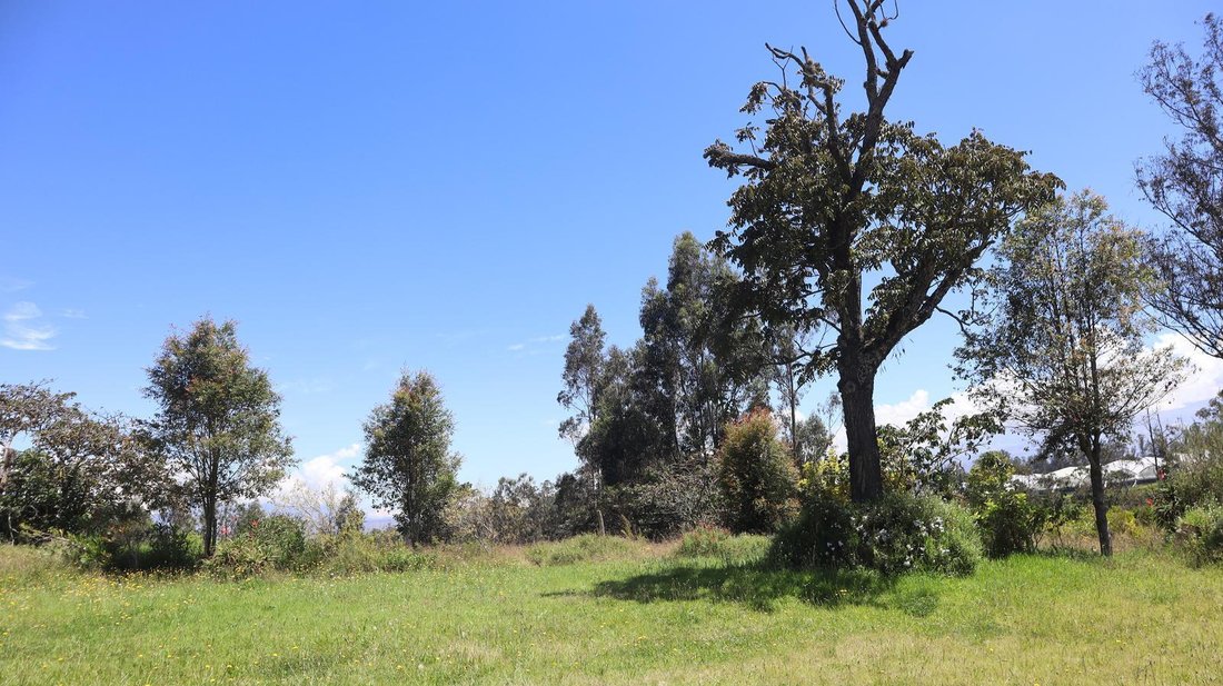 Land in Ascazubi, Pichincha, Ecuador 5 - 18661504