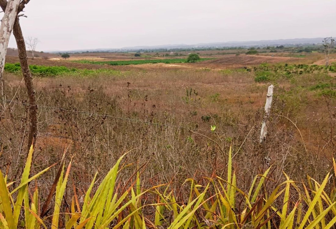 Land in Santa Elena, Santa Elena, Ecuador 3 - 18661482