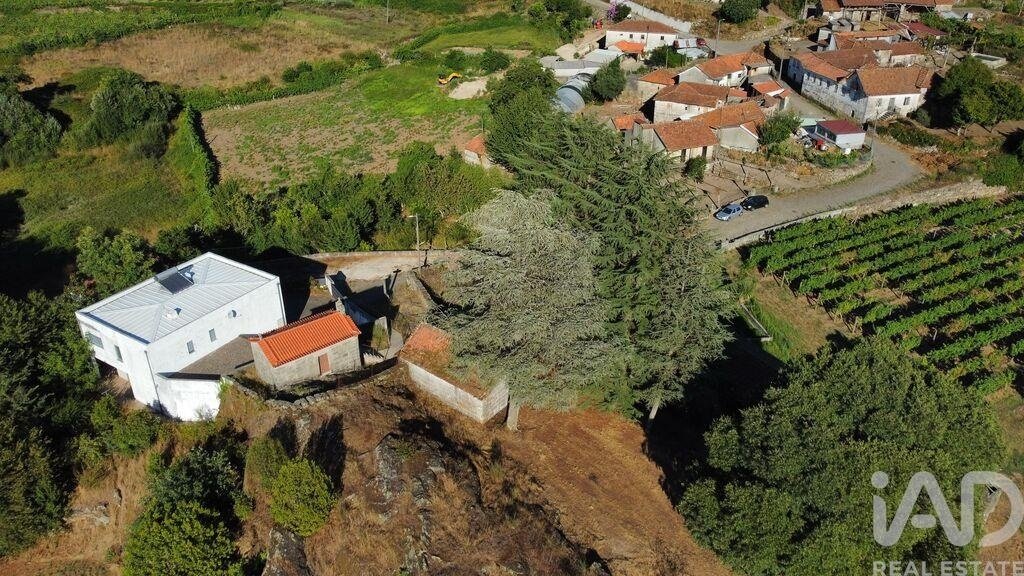 Farm Ranch in Figueiro (Santiago e Santa Cristina), Porto District, Portugal 4 - 18666845