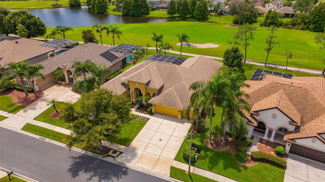House in Land O' Lakes, Florida, United States 3 - 18662979