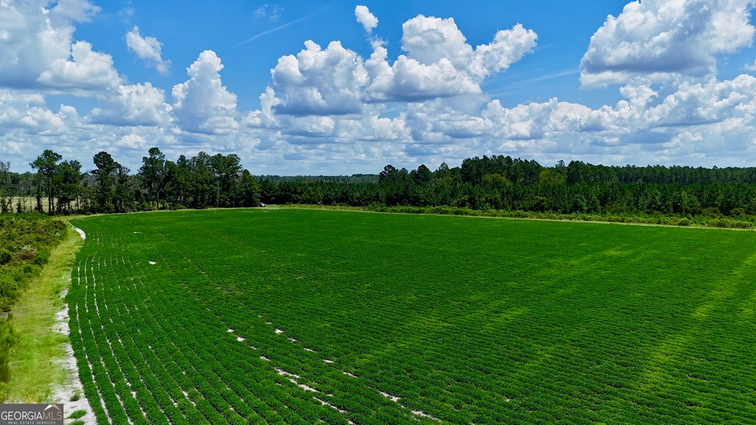 Farm Ranch in Alma, Georgia, United States 2 - 18663160