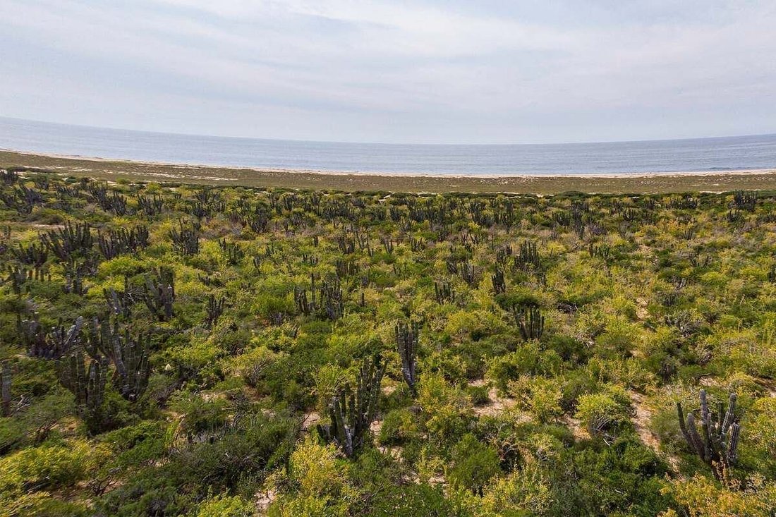 Land in Las Playitas, Baja California Sur, Mexico 3 - 18664668